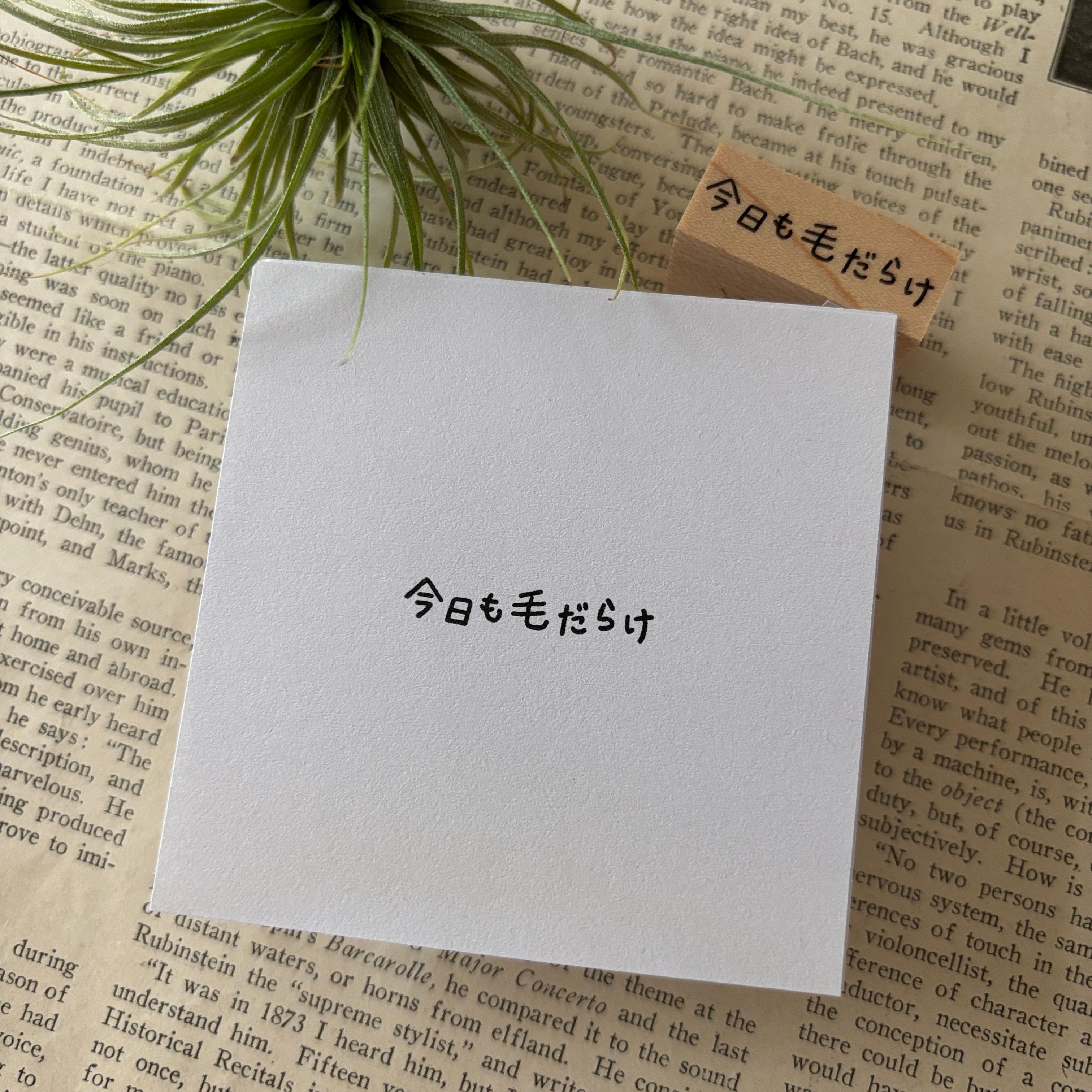 【ラバースタンプ】今日も毛だらけ文字はんこ1枚目の画像