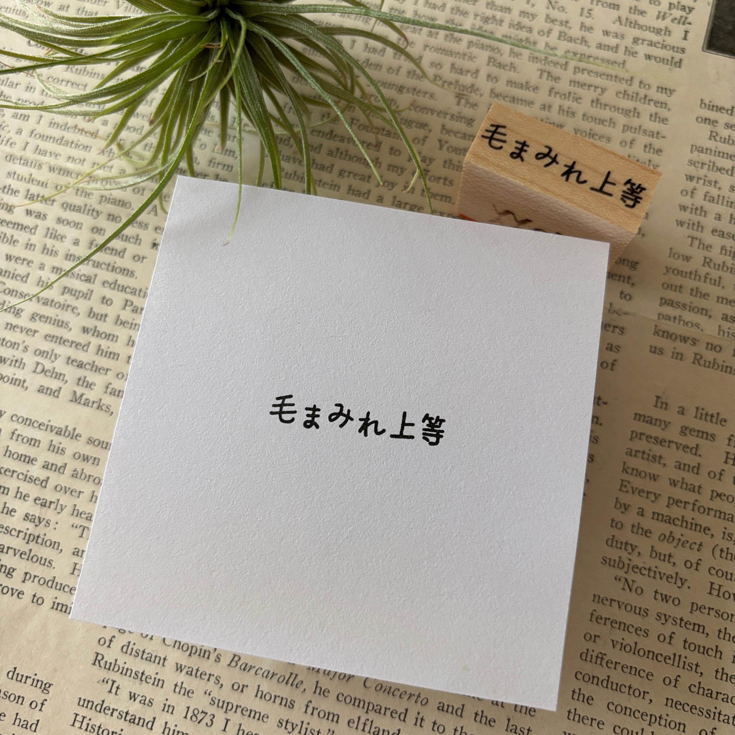 【ラバースタンプ】毛まみれ上等文字はんこ1枚目の画像